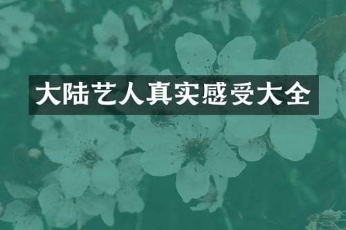 大陆艺人真实感受大全