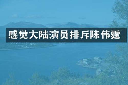 感觉大陆演员排斥陈伟霆