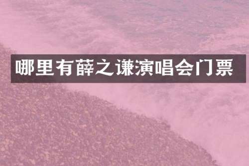 哪里有薛之谦演唱会门票
