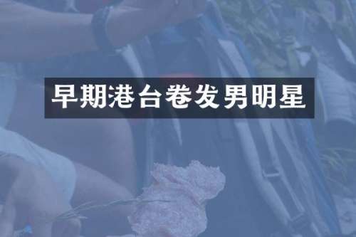 早期港台卷发男明星