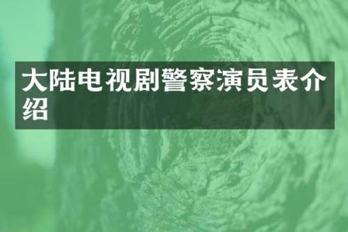 大陆电视剧警察演员表介绍