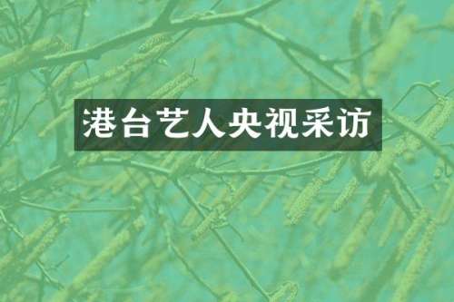 港台艺人央视采访