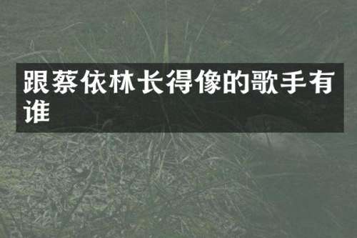 跟蔡依林长得像的歌手有谁