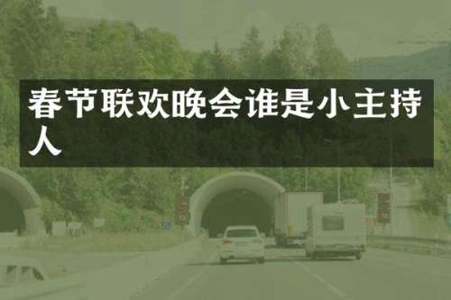 春节联欢晚会谁是小主持人