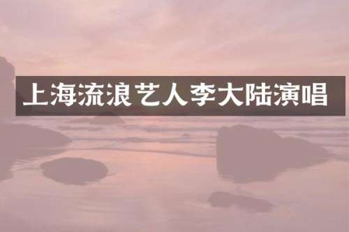 上海流浪艺人李大陆演唱