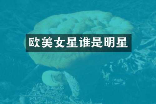 欧星谁是明星