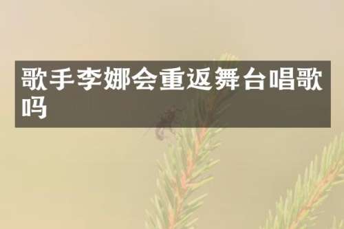 歌手李娜会重返舞台唱歌吗