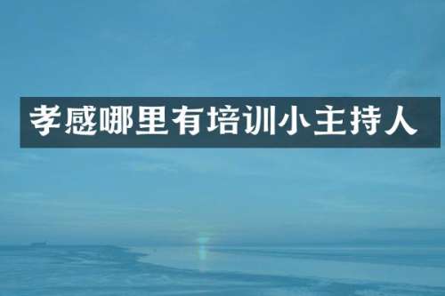 孝感哪里有培训小主持人