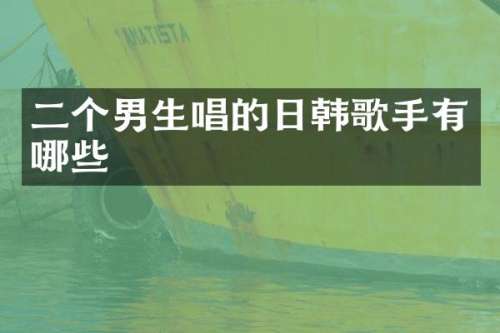 二个男生唱的日韩歌手有哪些