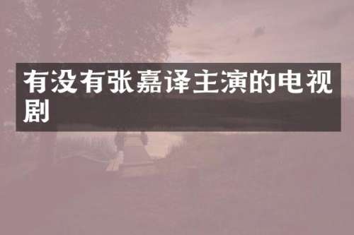 有没有张嘉译主演的电视剧