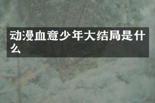 动漫血意少年大结局是什么