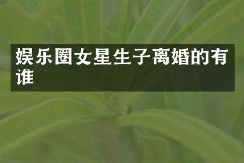 娱乐圈女星生子离婚的有谁