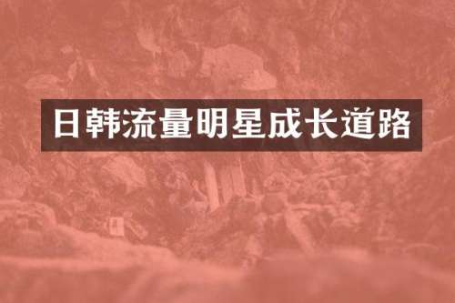 日韩流量明星成长道路