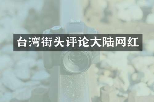 台湾街头评论大陆网红