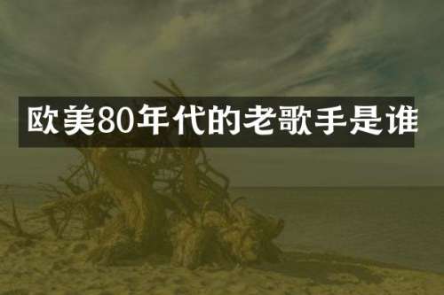 欧美80年代的老歌手是谁
