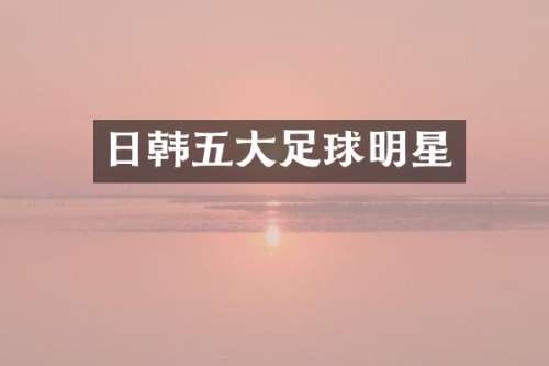 日韩五大足球明星