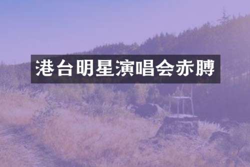 港台明星演唱会赤膊