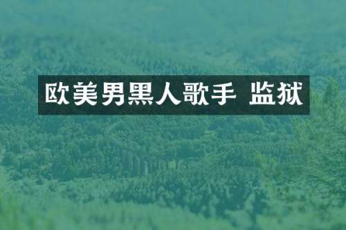 欧美男黑人歌手 监狱