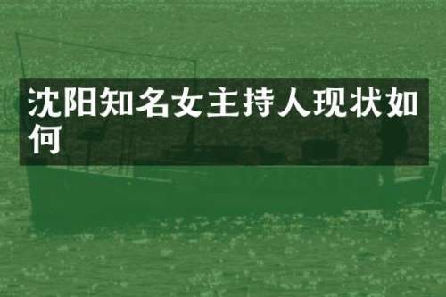 沈阳知名女主持人现状如何