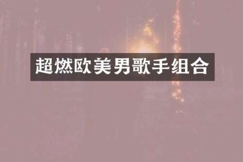 超燃欧美男歌手组合