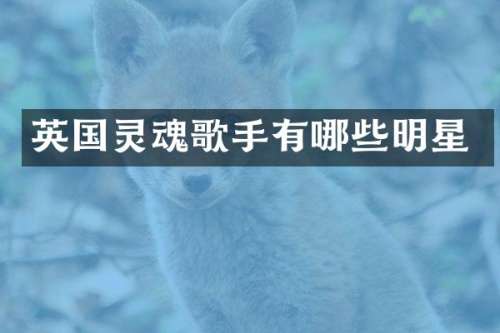 英国灵魂歌手有哪些明星