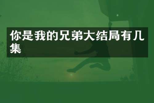 你是我的兄弟大结局有几集