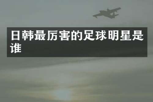 日韩最厉害的足球明星是谁