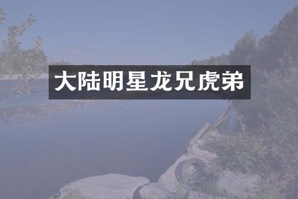 大陆明星龙兄虎弟