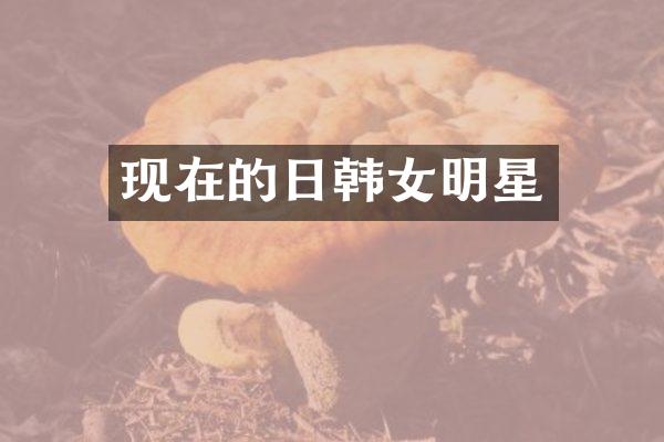 现在的日韩女明星