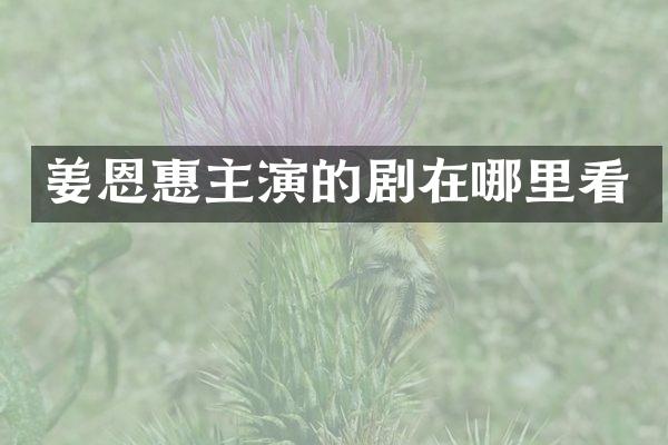 姜恩惠主演的剧在哪里看