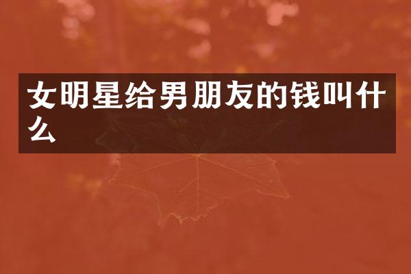 女明星给男朋友的钱叫什么