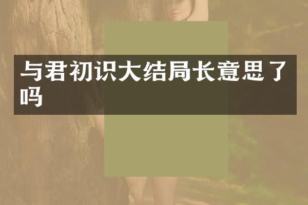 与君初识大结局长意思了吗