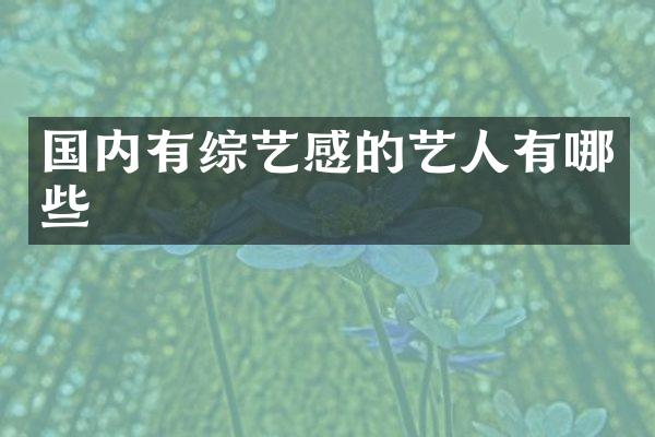 国内有综艺感的艺人有哪些