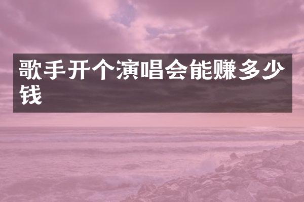 歌手开个演唱会能赚多少钱
