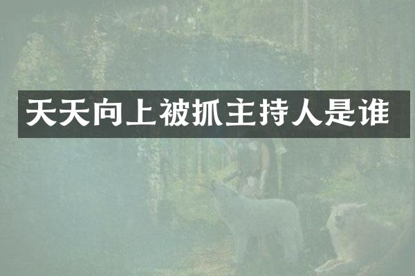 天天向上被抓主持人是谁