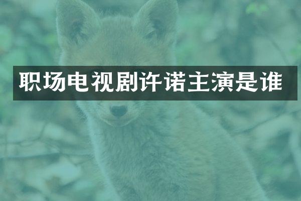 职场电视剧许诺主演是谁