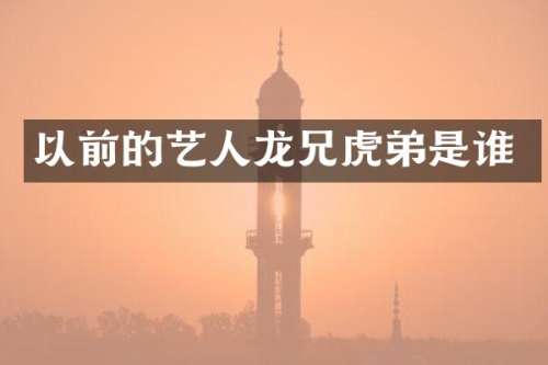 以前的艺人龙兄虎弟是谁