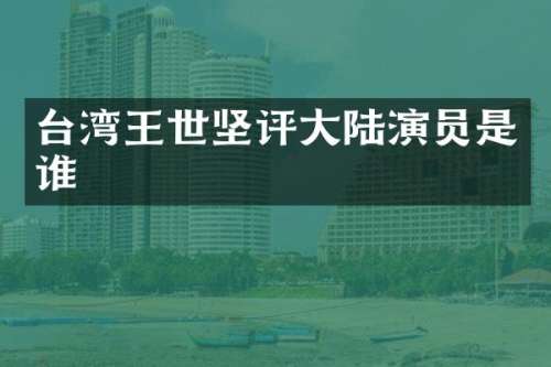 台湾王世坚评大陆演员是谁