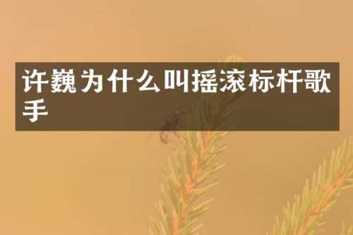 许巍为什么叫摇滚标杆歌手