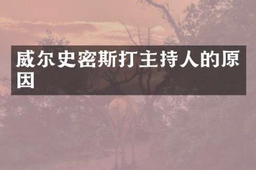 威尔史密斯打主持人的原因