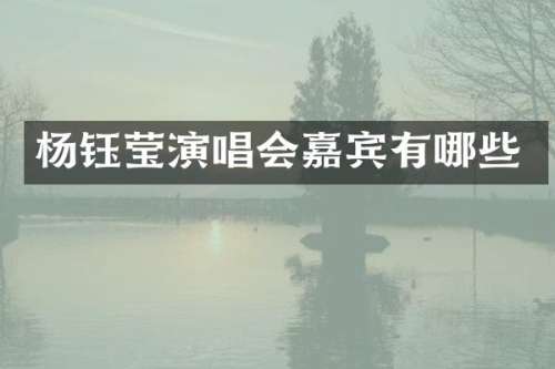 杨钰莹演唱会嘉宾有哪些