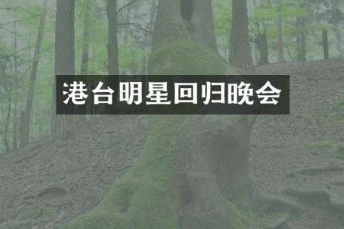 港台明星回归晚会