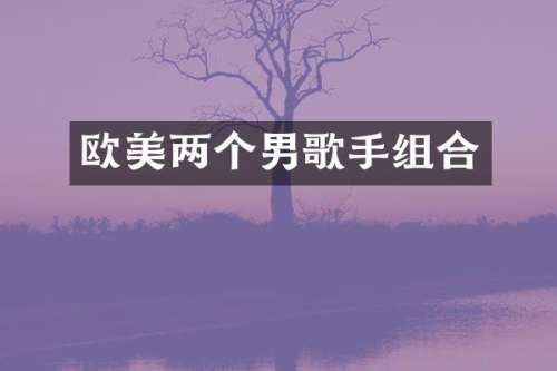 欧美两个男歌手组合