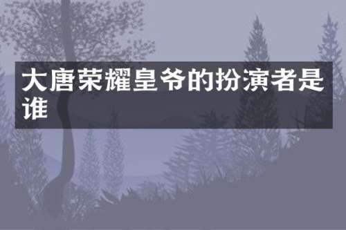 大唐荣耀皇爷的扮演者是谁