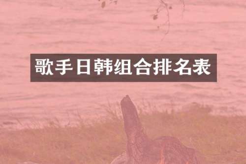 歌手日韩组合排名表