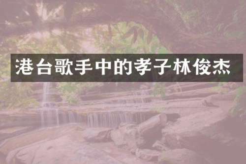 港台歌手中的孝子林俊杰