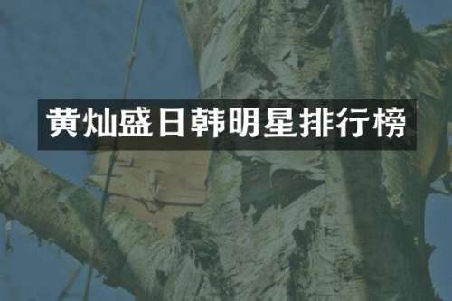 黄灿盛日韩明星排行榜