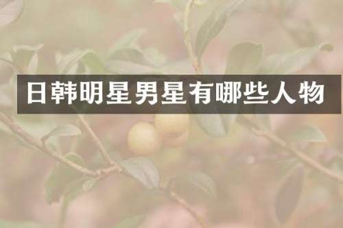 日韩明星男星有哪些人物