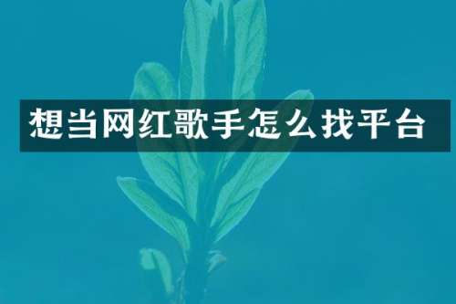 想当网红歌手怎么找平台