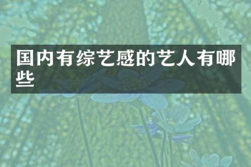 国内有综艺感的艺人有哪些